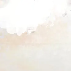 Megumi Masaki सुनें, म्यूज़िक वीडियो देखें, बायो पढ़ें, दौरे की तारीखें और बहुत कुछ देखें!