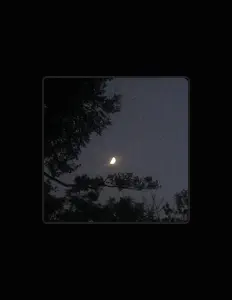 Aanexを聴いたり、ミュージックビデオを鑑賞したり、経歴やツアー日程などを確認したりしましょう！