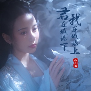 君在城墙下,我在城墙上 - Single