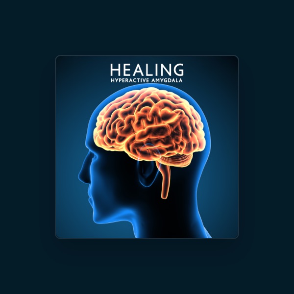 Calm Music Zone's avatar