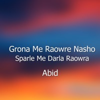 Grona Me Raowre Nasho Sparle Me Darla Raowra - Single - Abid