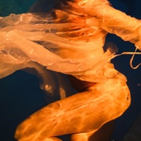 Abyss - Single - Megan McDuffee