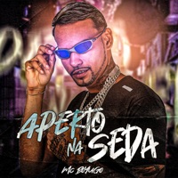 Aperto na Seda (feat. Apelão no Beat) - Single - mc boyugo