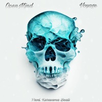 Chilly (feat. Voyage & Karasama Beats) - Single - OpenMind