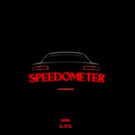 Speedometer SH13K