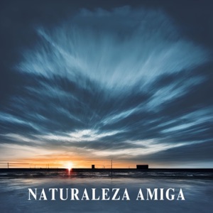 Naturaleza Amiga - Aves Tranquilas y Sonidos de Agua para Relajarse y Meditar, Música Natural de la Nueva Era para Practicar Yoga y Tai Chi