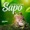 TAVO FLORES Y LOS TIPIQUEROS - EL SAPO