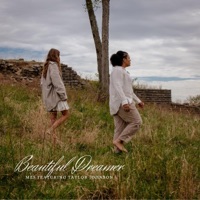 Beautiful Dreamer (feat. Taylor Johnson) - Single - MES