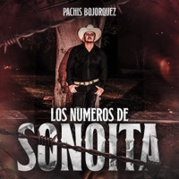 Los Numeros De Sonoita - Single - Pachis Bojorquez