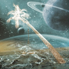 Fishes Everywhere Donttawktome