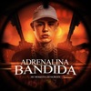 Adrenalina Bandida - Single