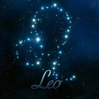 Leo - Single - 1&O Zipp