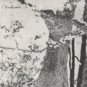 It Was Past Eight Thirty, and Still Light