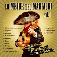 Mi Linda Esposa — Mariachi Cobre De Mexico