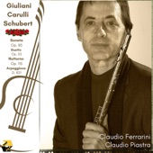 Grande Sonata Concertante in La Maggiore per flauto e chitarra, Op. 85: IV. Allegretto espressivo artwork