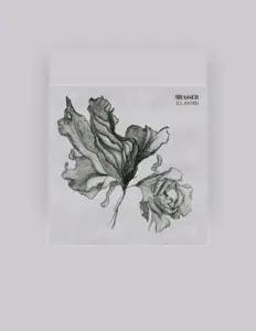 Ouve Brasser, vê vídeos de música, lê a biografia, vê as datas da digressão e muito mais!