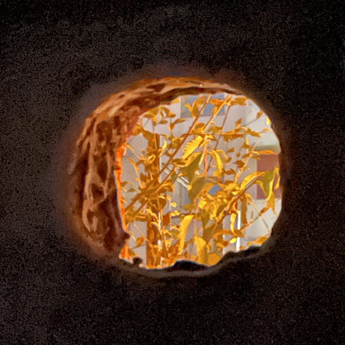 290 - Apple Music