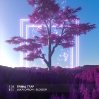 Blossom - Single - Lukasoprom