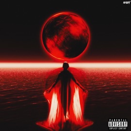 BLOOD of the NIGHT (feat. Sxffer) Scxrzxne