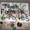 Rachael - Noah Pollack lyrics