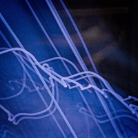 Starry - Single - Slo Loris & if only