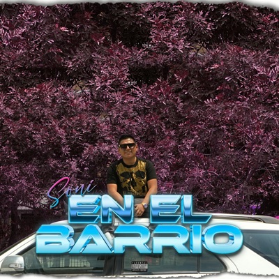 En el barrio - Single