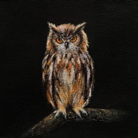 To the Dawn - Single - MRCH