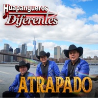 Atrapado - Single - Huapangueros Diferentes