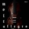 Molto Allegro - GJ lyrics
