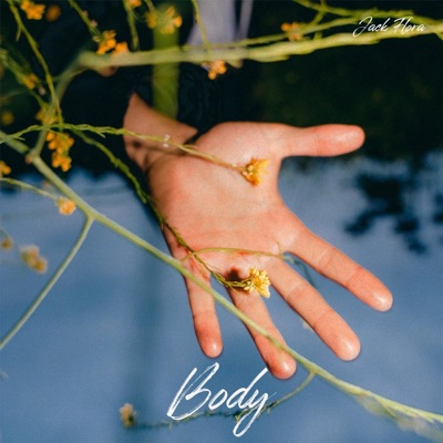 Body - Single