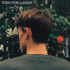 Si me das a elegir