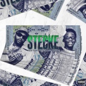 STECKE (feat. Caask Asid) artwork