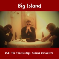 They Know We Got Soul Pt. 2 (feat. DLE, The Yeastie Boys & Second Derivative) - Single - Big Island