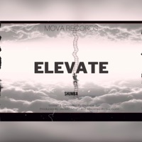 Elevate - Single - Shumba