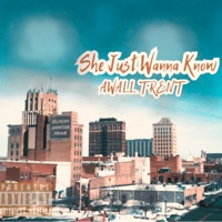 She Just Wanna Know - Single - Awall Trent
