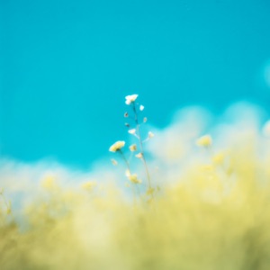 Oh, Love - Single