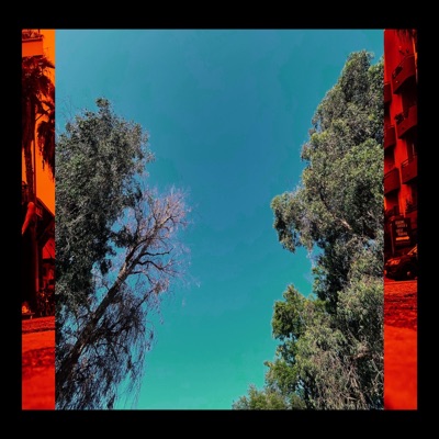 Razor On Magnolia Blvd. (SUNRISE) - Single