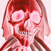 Until the Light Fades - Single - Sid White