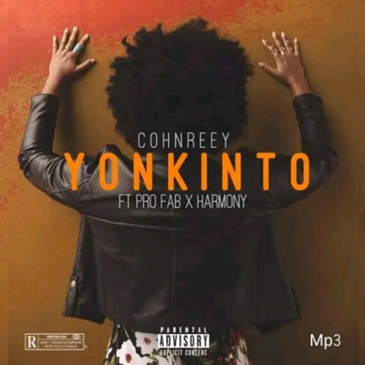 Yonkinto (feat. Pro Fab & Harmony) - Single