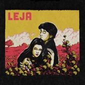 Leja (dnb mix) artwork
