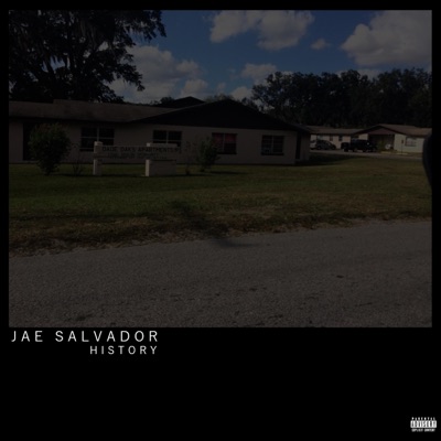 Still Fly (feat. Vespucci & JonesBoy) - Single