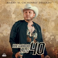 LLegaron Los 40 (En vivo) - Single - Mario 