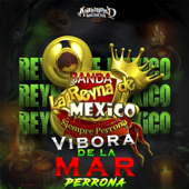 La Víbora De La Mar