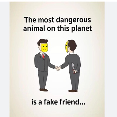 Fake Friends (feat. Trapp Gee) - Single