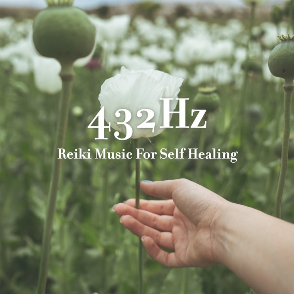 432Hz: Reiki Music For Self Healing: Cleanse All Negative Energy, Miracles Frequency Music
