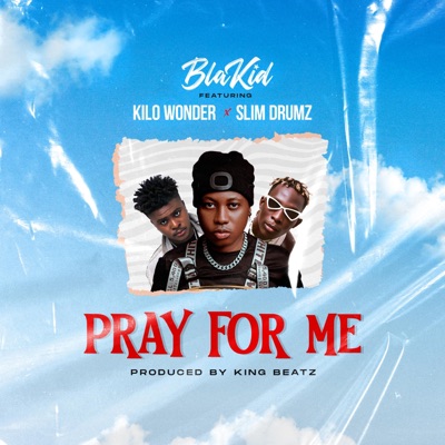 Pray For Me (feat. Kilo Wonder & Slim Drumz) - Single