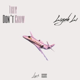 They Don't Know Liyah Lí