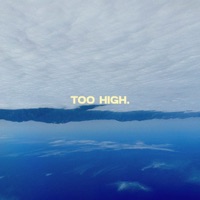 Too High - Single - BROCKWELL