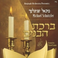 נשמה פלאם 3 - ברכת הבנים - Michoel Schnitzler