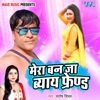 Mera Ban Ja Boyfriend - Single